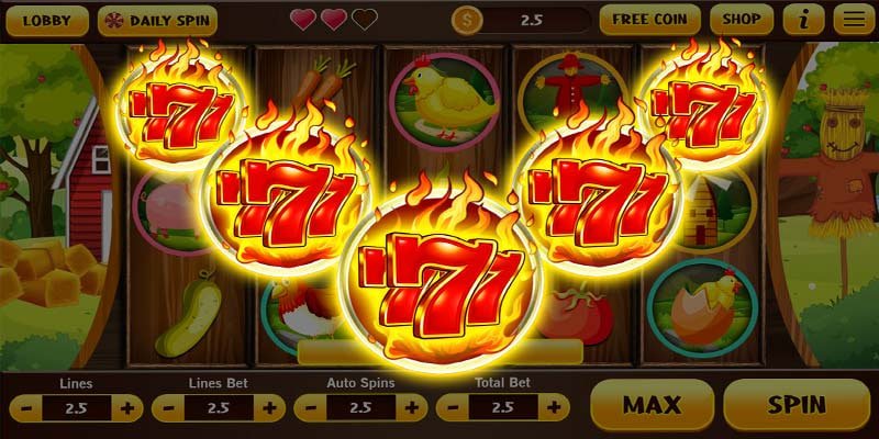 win567